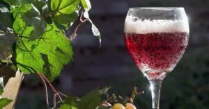 History of Lambrusco